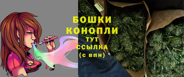 стафф Зерноград