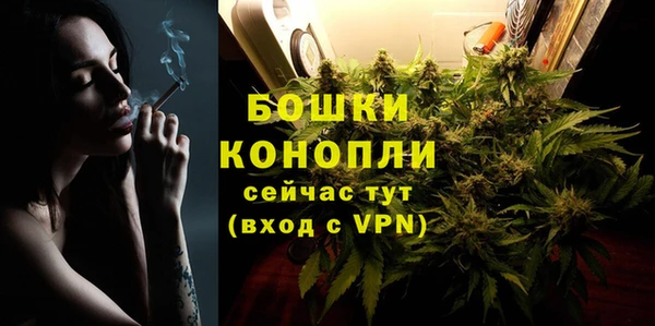 стафф Зерноград