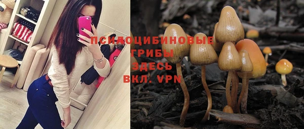 стафф Зерноград