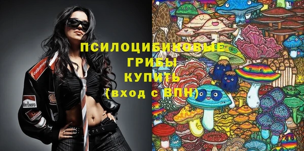 стафф Зерноград