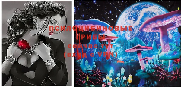 стафф Зерноград