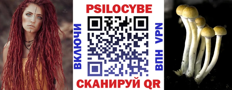 Псилоцибиновые грибы прущие грибы  Купить где  Лыткарино 